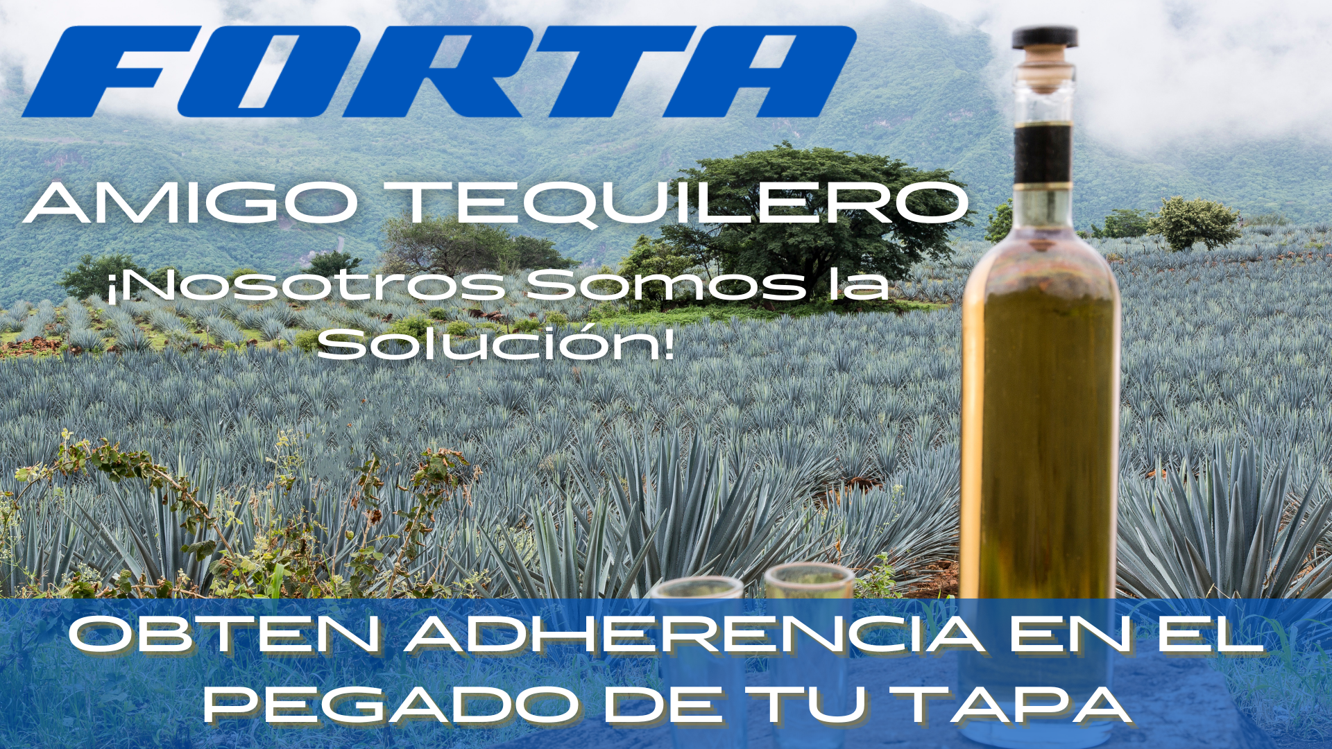 La Importancia del Adhesivo AVR de FORTA para un Sello Perfecto en Botellas con Corcho