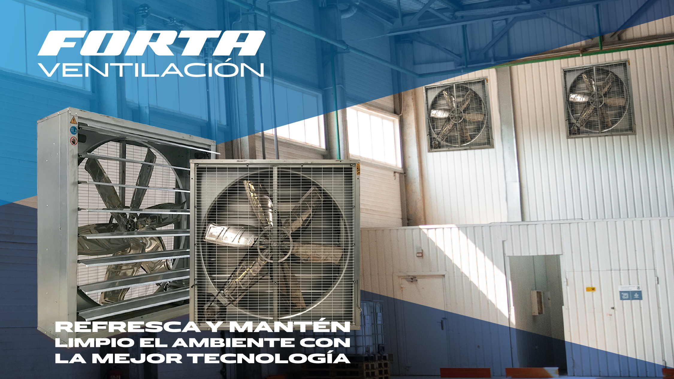 ADHESIVOS DE CALZADO ¿Cuál debo usar?